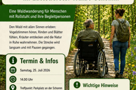 Barrierearmes Waderlebnis Rollststuhl auf Waldweg