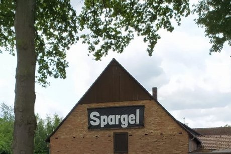 Spargel