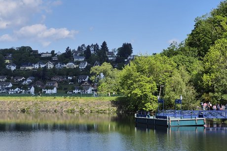 Blick ans Ufer vom Schiff aus.