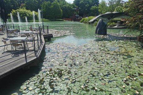Maximilian Park in Hamm