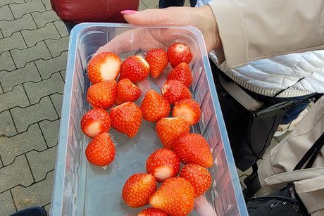 Eine Schale mit frischen roten Erdbeeren