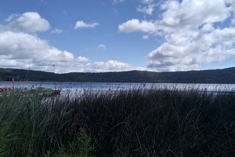 Blick auf den Laacher See