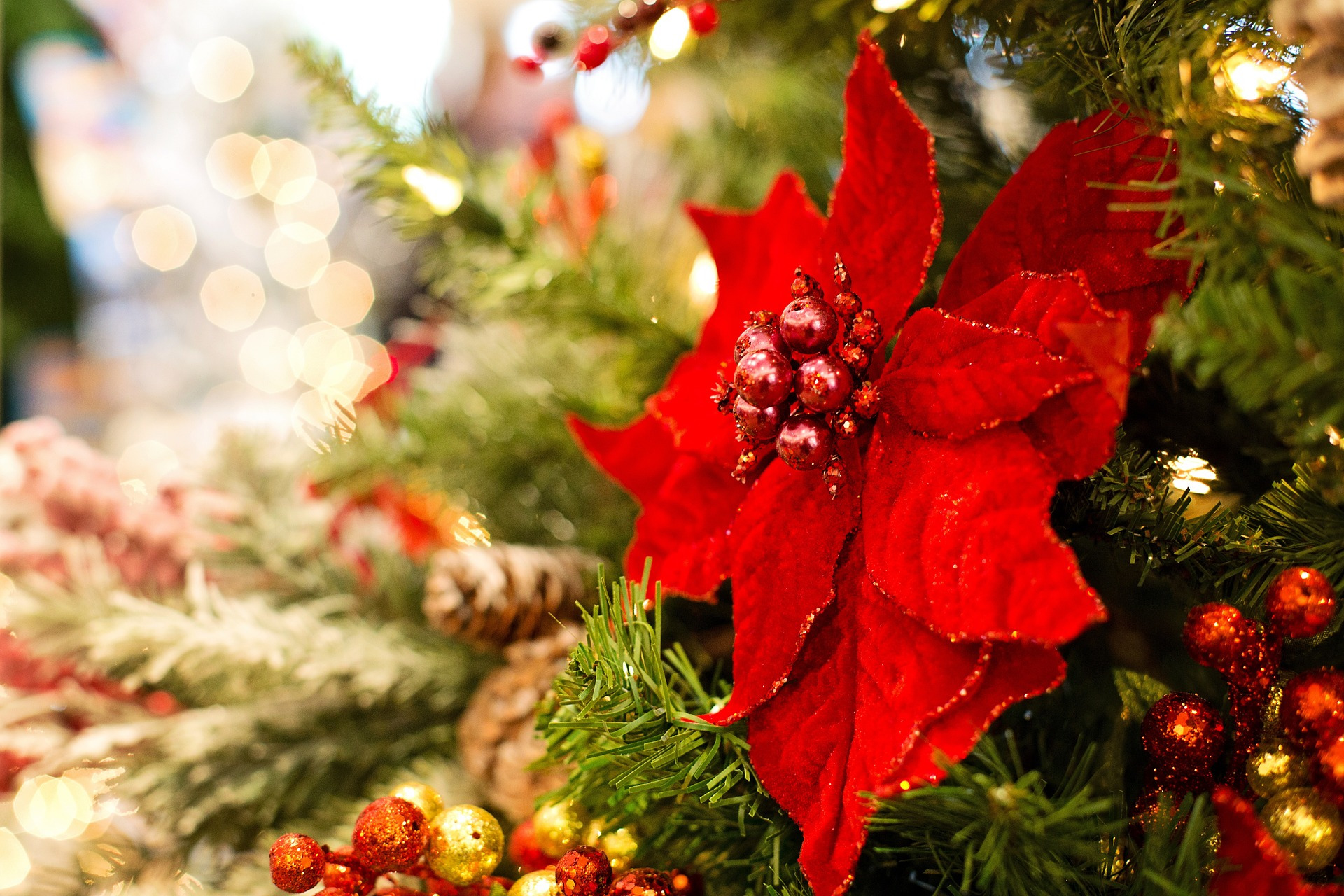 Weihnachten 23