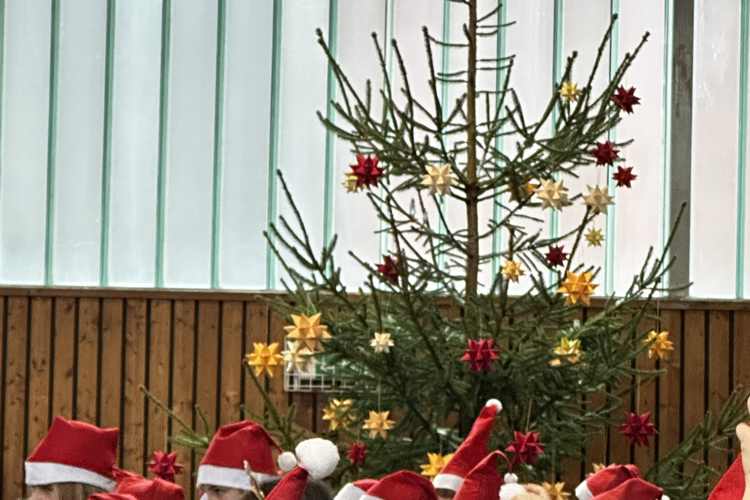 Nikolausm&uuml;tzen mit Weihnachtsbaum im Hintergrund