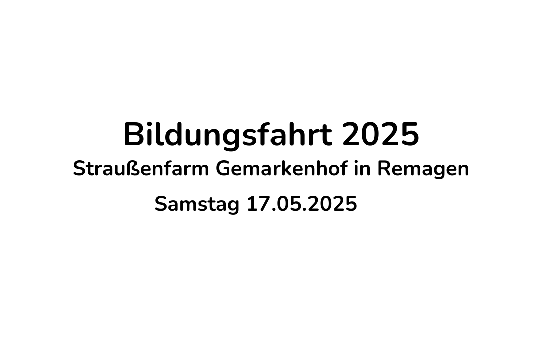 Bildungsfahrt 2025 Bildungsfahrt 2025