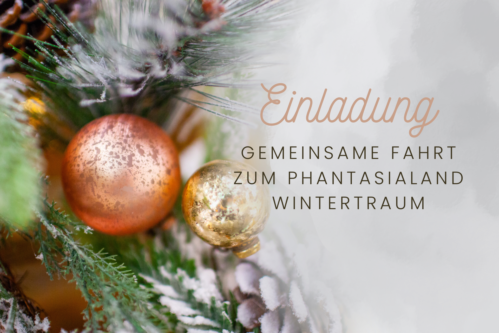 Hintergrund: Weihnachtskugeln an Tannenzweig. Daneben Text: Einladdung Gemeinsame Fahrt zum Phantasialand Wintertraum