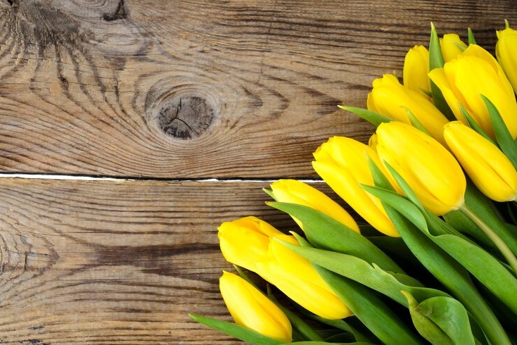 Holzoberfl&auml;che mit Tulpen