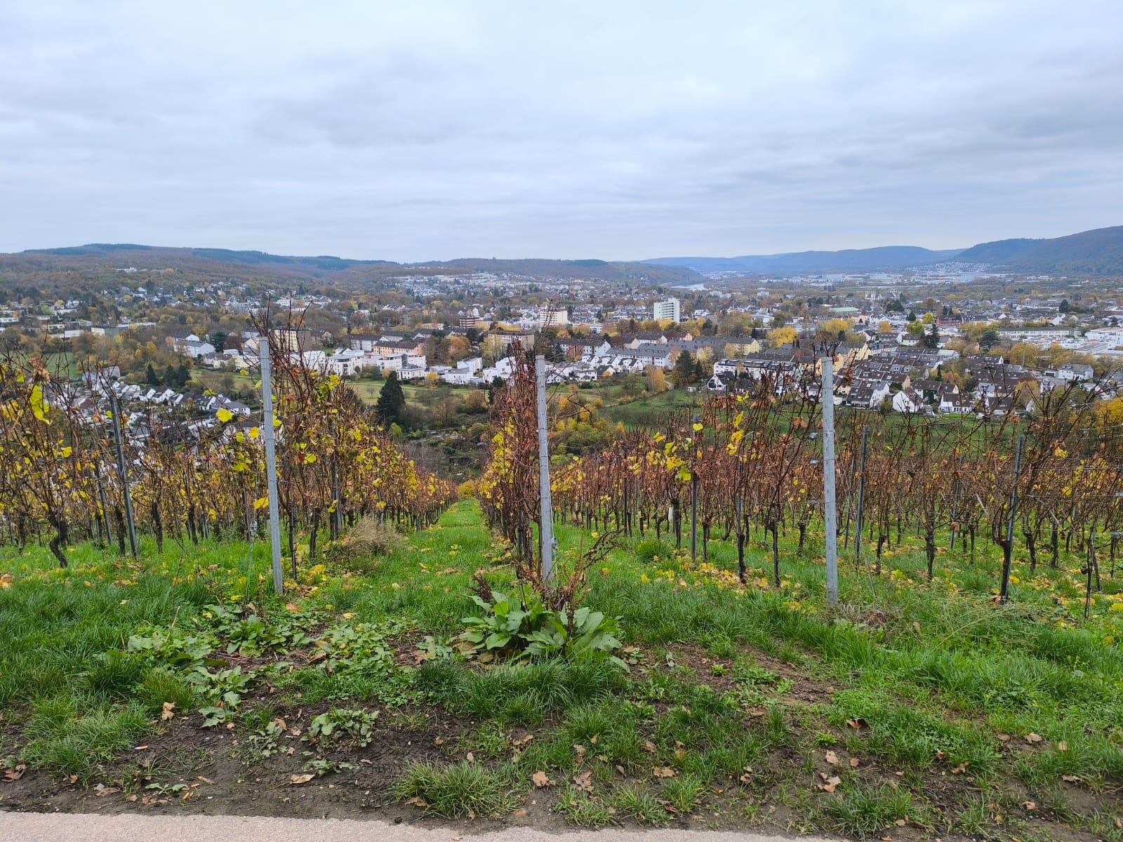 Blick auf Trier