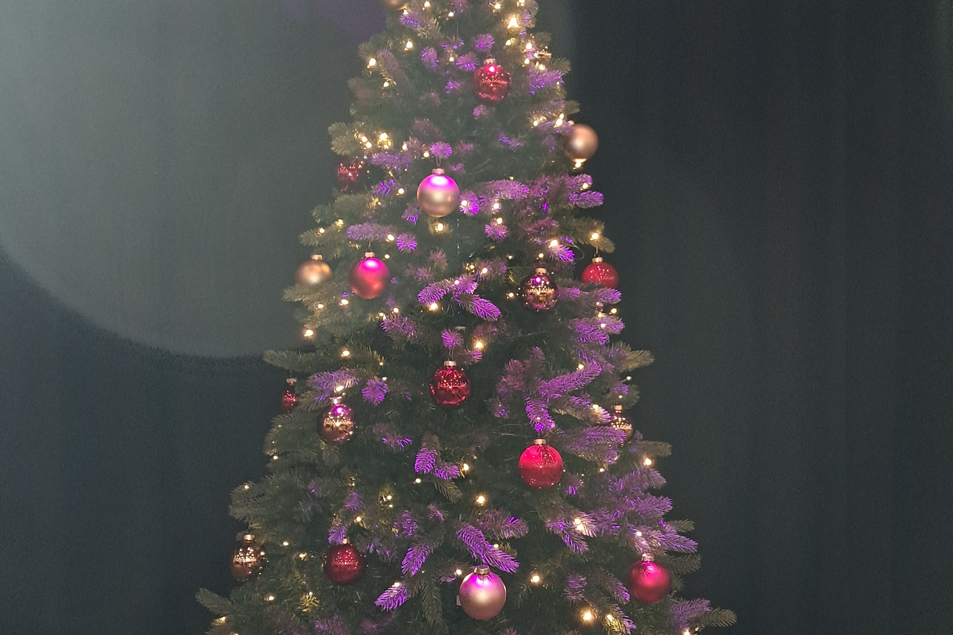festlich geschmückter Weihnachtsbaum