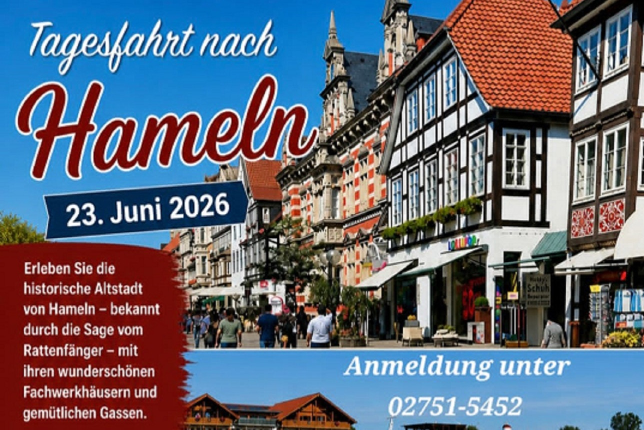Das Plakat zeigt Ausschnitte der idyllischen Innenstadt von Hameln.