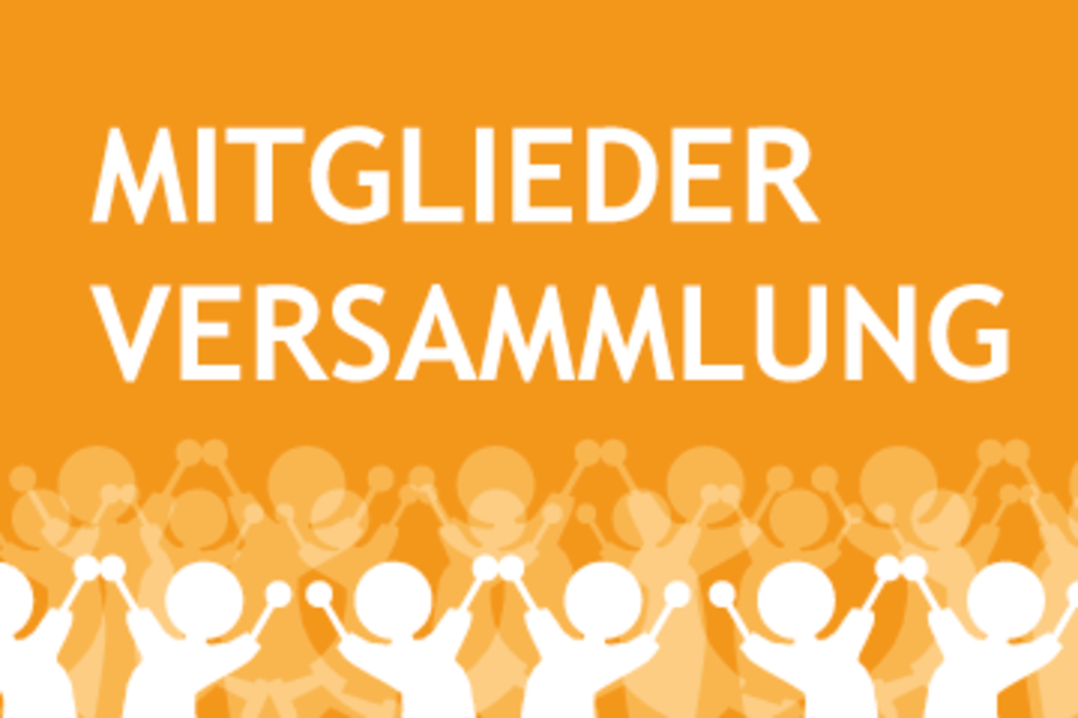 Mitgliederversammlung als Grafik