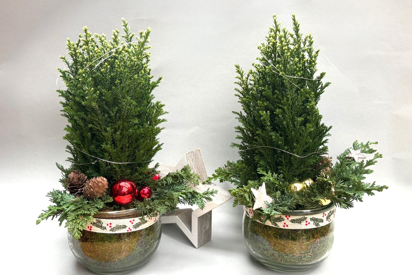 Zwei Tannenbäumchen mit goldenen und roten Weihnachtskugeln in einem Glas