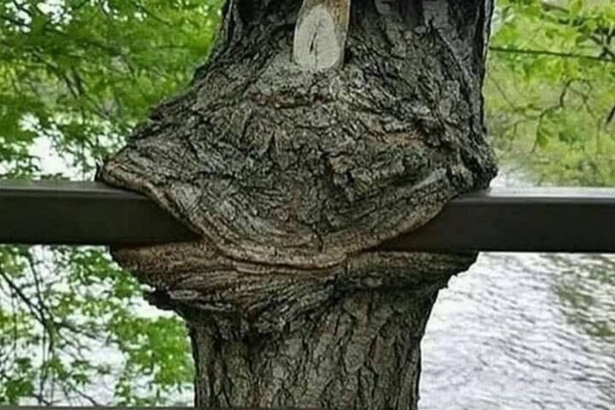 Herbsttreffen 2025 Nr. 1 Rheda-Wiedenbrück